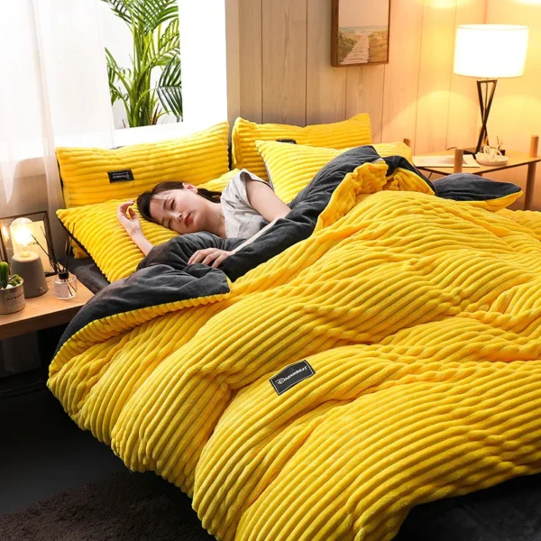 3pcs duvet cover Winter Warm Bedding sets Double Quilt Cover king Twin queen size bed thick Flano Coral Fleece with pillowscase 1